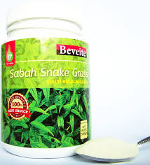 Sabah snake grass herbal property, research and its side effects by mastertole of thetole please visit. Beveite Sabah Snake Grass Powdered Beveite