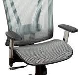 ErgoMax Ergonomic Home-Office-Desk-Chairs, 53 Inch Max Height, Gray