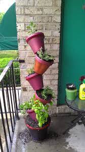 My Topsy Turvy Herb Garden On My Apartments Balcony Apartment Herb Gardens Backyard Garden Landscape Herb Garden