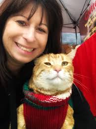 7 felines found homes today! Congratulations to; Brimsley Granite, Slate  and Marble together! Mayve Goat 🎉 Harmony We hope you all settle well and  a reminder to the new purrents to join