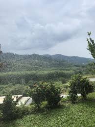 喜欢花的人是会去摘花的 然而爱花的人则会去浇水 凡事我们都不能一直索取 只有付出我们会得到更多 tsemtulku martinmkc spiritual quotes spirituality buddhism