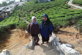 अखण्ड हिन्दुस्तान (devanagri), is an irredentist term literally meaning undivided india. Ladang Teh Bharat Tea Xplorasi Destinasi