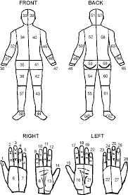 59 up to date body part injury chart