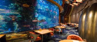 Lighthouse cafe the aquarium experience continues into the lighthouse cafe with a stunning art exhibit and amazing boardwalk views. Underwater Restaurants In Dubai Al Mahara Ossiano More Mybayut
