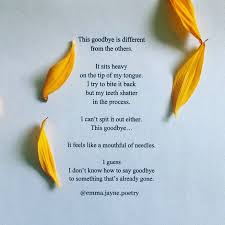 Emma Jayne Milwaukee On Instagram My Dog Passed Away Last Week And I Didn T Get To Say Goodbye So Here S A Poem Dog Passed Away Pass Away Quotes Poem A