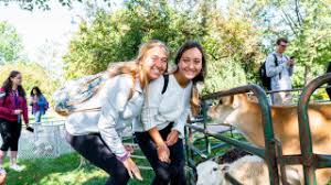 To ensure the animals' health, the food is supplied by the zoo, either from vending machines or a kiosk nearby. Students Meet First Day Furry Friends On The Green Seton Hall University