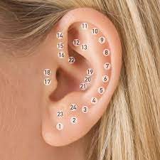 Places To Get Your Piercings On Your Ear Kulak Piercingleri Vucut Piercing Piercing