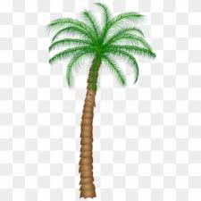 Gambar pohon kartun png 2 png image. Free Coconut Tree Png Png Transparent Images Pikpng