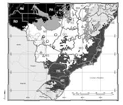 The colocolo ( leopardus colocolo , syn.: Records Of Pampas Cat Oncifelis Colocolo In Brazil Download Scientific Diagram