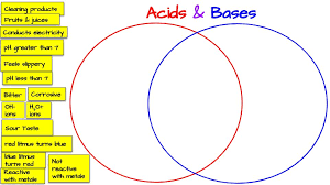 Acids bases and ph worksheet answers. Acids Bases Venn Diagram Activity Middle School Science Blog