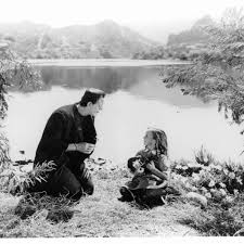 Repetition of words with the same root. Frankenstein Themes Symbols And Literary Devices