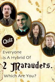 Harry Potter Quiz Everyone Is A Hybrid Of Two Marauders Which Are You Harry Potter Quiz Hogwarts Quiz Quiz