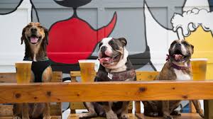 Encontre 47.247 avaliações dos viajantes do tripadvisor sobre ostra e busque por preço, localização e muito mais. Travel With Pets Check Out Dog Friendly Road Trips Across The U S