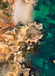 Image result for Faroa duvigneaud