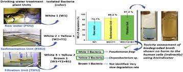 نتیجه جستجوی لغت [acclimatized] در گوگل