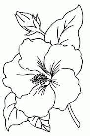 What to do with a hibiscus flower outline? Royce S Hub Free Embroidery Pattern Hibiscus Flower Simple Flower Drawing Flower Drawing Embroidery Patterns Vintage