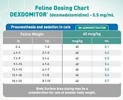 Dexdomitor Dosage Chart Cats Related Keywords Suggestions