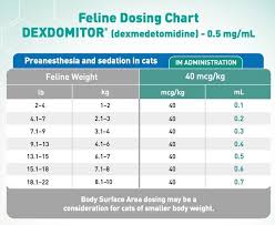 anesthetic drug calculator