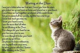 When We Must Say Goodbye For Now Cat Memorial Pet Grief Pet Remembrance