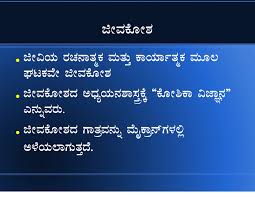We did not find results for: Edu Help Ppt On Cell In Kannada