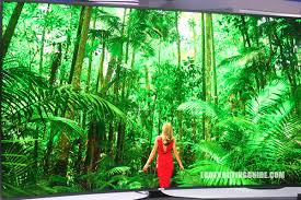 David katzmaier cnet's guide to 3d tv: 4k Uhd Tv Vs 1080p Hdtv Should You Upgrade