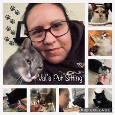Val's Pet Sitting
