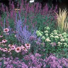 August Afternoons Pre Planned Garden In 2020 High Country Gardens Country Gardening Flower Garden Plans