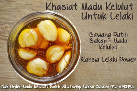 Bawang putih ternyata memiliki khasiat untuk burung kicauan. Segala Macam Bawang Bawang Laki Khasiat