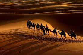 Contrast has been added to this image. Perfume Review Tom Ford Sahara Noir Ambered Frankincense Desert Photography Desert Life Sahara Desert