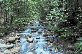 Tujuh lokasi persampelan yang dipilih ialah sungai pangsun, sungai congkak, sungai gabai, sungai lui. Natural Lure Of Hulu Langat The Star