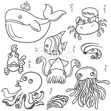 Cartoon Sea Animal In Line Art Style Black And White Cartoon Sea Animals Easy Drawings Easy Drawings For Kids