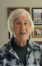 South Island Whippet Club