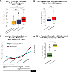 A A Boxplot Of Pd L1 Expression In Lower Grade Gliomas And Its Download Scientific Diagram