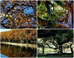 Contact Support Hyde Park Perth Western Australia Visit Australia