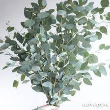 Silver Dollar Eucalyptus Wedding Greenery How To Save Money Wedding Planning Plan Your Own Wedding Bridesmaid Diy Silver Dollar Eucalyptus Greenery Wedding