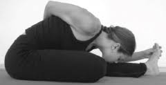 Yoga Pose Study Guide Flashcards Cram Com