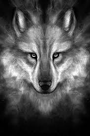 The only right place to download wolf wallpapers in 4k(ultra hd) full free for your desktop backgrounds. 16 White Wolf Wallpaper For Iphone Ideas Wolf Wallpaper White Wolf Wolf