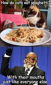 Like all human foods that don't do a lot of good for cats, our recommendation is not to bother. Image Tagged In Memes Too Damn High Imgflip
