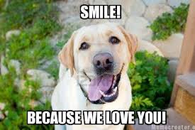 Make Funny Memes With Our Meme Generator And Share It With Friends Canned Dog Food Wet Dog Food Dog Food Recipes