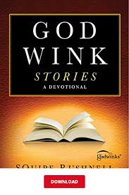 Download Godwink Stories Pdf Squire Rushnell A Devotional Ebook Minneapolis Library Library Books Devotions