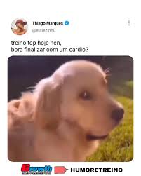 Reel by Diogo Casquero (@diogocasquero) · August 14, 2025