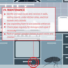 How to make the strongest natural bug. How To Prevent Cockroaches Rentokil