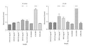 Image result for Triumfetta welwitschii