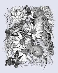 Black And White With Pop Of Color Art Australia Australian Bushfire Relief In 2020 Botanical Illustration Black And White Cross Drawing Botanical Illustration