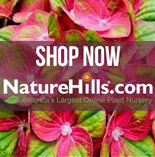 Spring fertilization and bonsai care. Best Fertilizers For Vegetables The 11 Winners Plantophiles