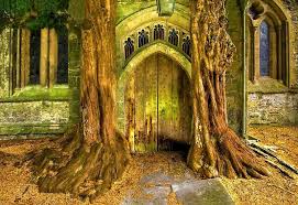 Yew Trees And North Door St Edwards Parish Church Stow On The Wold England Stow On The Wold Tree Forest Tree