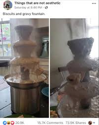 Biscuits And Gravy Fountain Meme Pin By Ginny Rice On Carson Graduation In 2020 Decorative Jars Chemex Animals Images