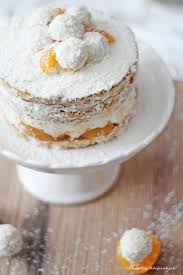 Aprikosen abtropfen lassen /3 davon auf dem teig verteilen. Raffaello Kokos Torte Charlottas Kuchentisch