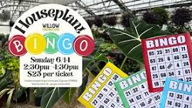 Plant BINGO at Willow Greenhouse!