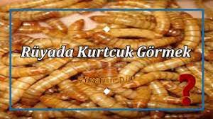 ruyada kurtcuk gormek ruya tabiri youtube